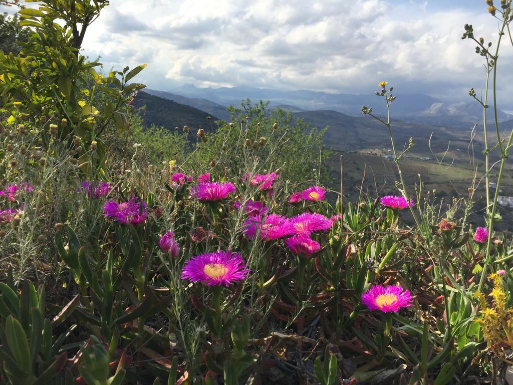 Loma Los Pelones 78 Viñuela Kültér fotó