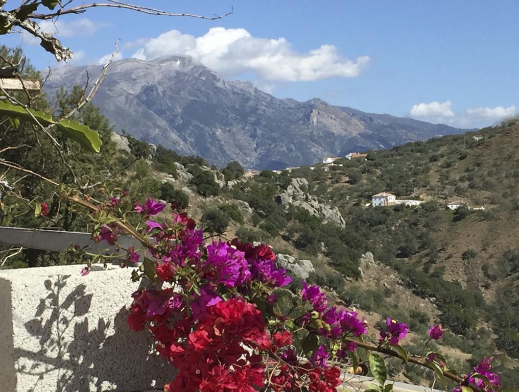 Loma Los Pelones 78 Viñuela Kültér fotó